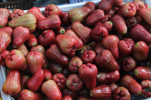 istock water guava tropical fruit typical of Indonesia 1474999810