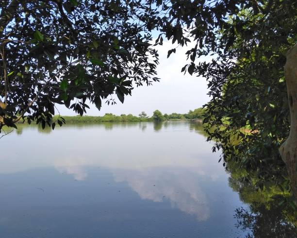 istock Beautiful lake in the morning 1474999873
