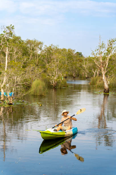 istock Caucasian man kayaking in mangrove forest on summer vacation. 1475004576