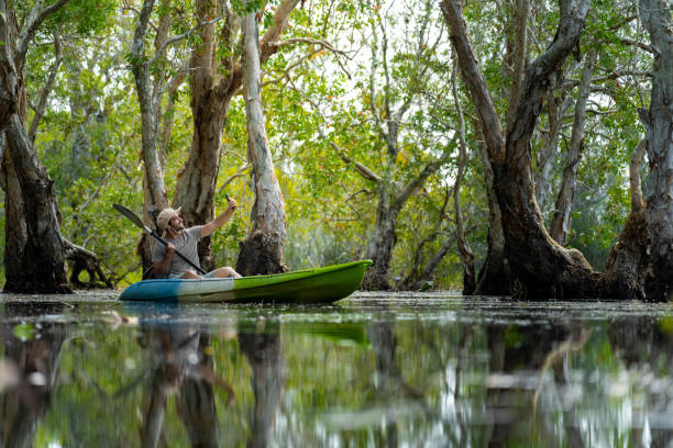 istock Caucasian man using smartphone taking selfie during kayaking at mangrove forest. 1475004617