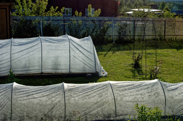 istock plastic watering cans in the village 1475004746