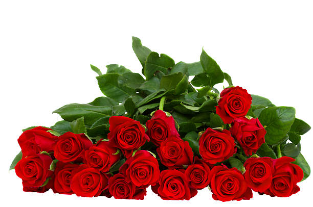 istock bouquet of red roses 147500536