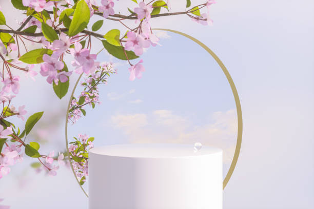 istock Natural beauty podium backdrop with spring sakura cherry blossom tree branch. 1475006317