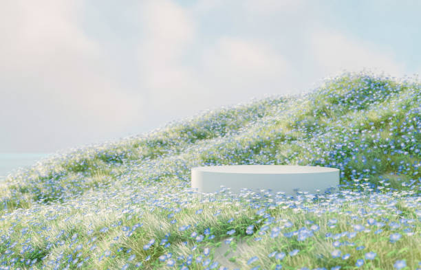 istock Natural beauty podium backdrop with spring blue flowers landscape scene. 1475006418