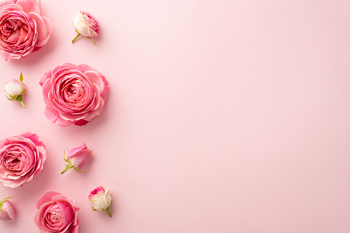 Close-up of beautiful bouquet of flowers on a pink background. Space for copy.