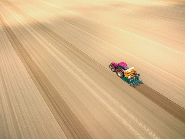 istock Tractor planting potato seeldings in  the soil during springtime 1475007109