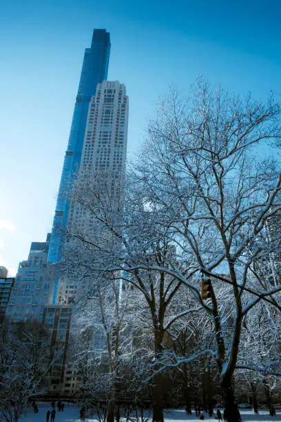 Photo of the landscape of Central Park in winter in a beautiful day in the background the most famous New York City skyscrapers