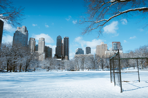 blizzard in New York City turns Central Park into a winter wonderland. Photo taken from a scenic viewpoint showing the Manhatten skyline rising from the snow covered  trees. 