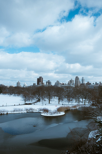 Portrait of Central Park in New York Winter in America in a good day with snow