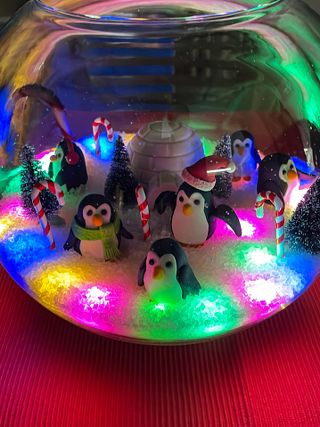 Stock photo showing close-up view of homemade snow globe containing fondant icing penguins wearing a red bobble hat, a green scarf and red earmuffs besides a white igloo surrounded by fake snow. The Antarctic Christmas scene is illuminated by multicoloured fairy lights.