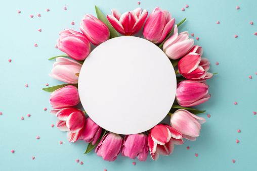 Mother's Day concept. Top view photo of white circle surrounded by pink tulips and sprinkles on isolated pastel blue background with copyspace