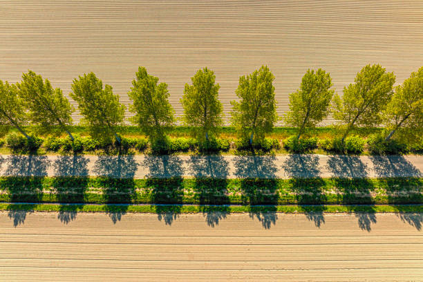 Road in a rural landscape in the Noordoospolder in Flevoland, The Netherlands seen from above during a beautiful springtime day. The Noordoostpolder is a polder in the former Zuiderzee designed initially to create more