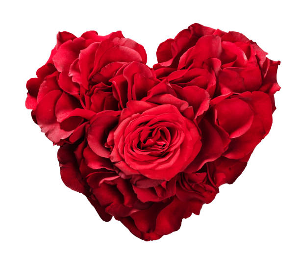 Funeral invitation with red roses. Can also be used as a banner