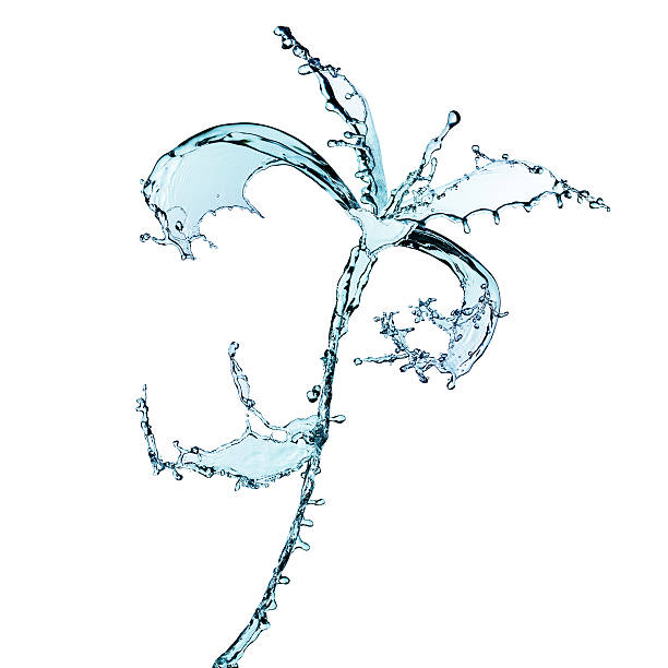 istock Flower made of water splashes 147500928