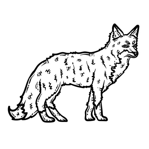 Fox Animal Coloring Page For Adult - Fox Animal Coloring Page For Adult 