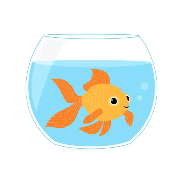 Vector illustration of Cute gold fish swimming in round glass bowl aquarium isolated on white background. Vector flat illustration