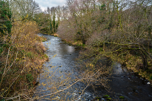 The River Derwent is formed by the meeting of two burns in the North Pennines and flows between the boundaries of Durham and Northumberland as a tributary of the River Tyne