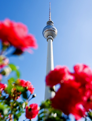 Summer in Berlin, Television Tower with flowers