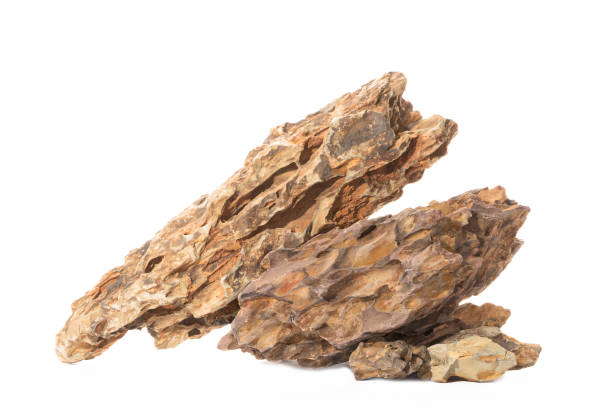 istock Ohko dragon stone for aquascaping design 1475023179