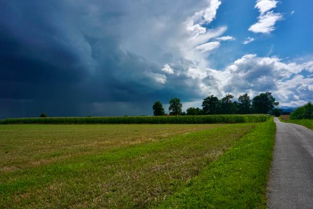 istock Walking path in Upper Bavaria in summer. A walk through Bavaria between green fields and under a blue sky. The traditional landscape of Bavaria in summer. Summer walk under the sky with clouds. 1475023833