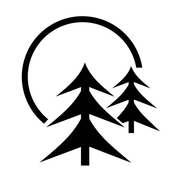istock Vector illustration, nature icon, trees and moon, travel and camping. Flat design. Isolated on a white background. 1475028931