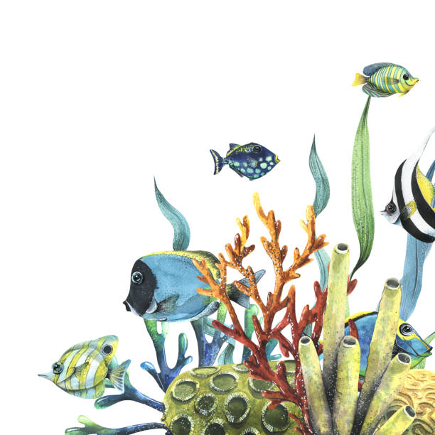istock Bright reef fish with corals, sea sponges and algae. Watercolor illustration. Temlate from the collection TROPICAL FISHES. For decoration and design of summer and beach prints, stickers 1475030460