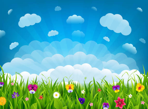 ilustrações de stock, clip art, desenhos animados e ícones de green grass and summer flowers and sunburast background - tulip field flower cloud