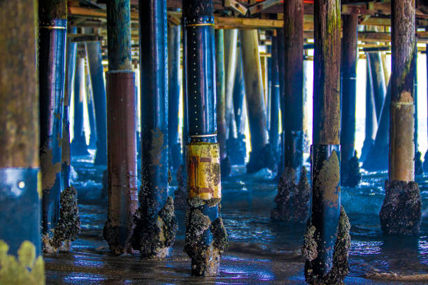 istock Santa Monica Pier 1475037261