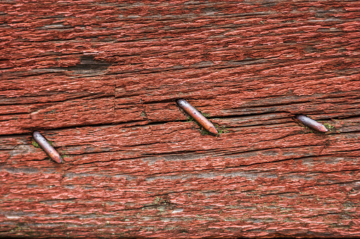 Weathered wood from an old barn.  Rusty, bent nail in the wood.
