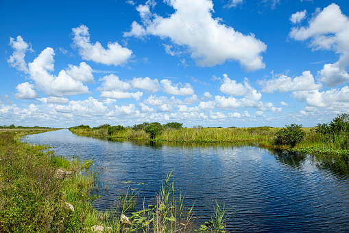 The wetland of the Everglades National Park in Florida
