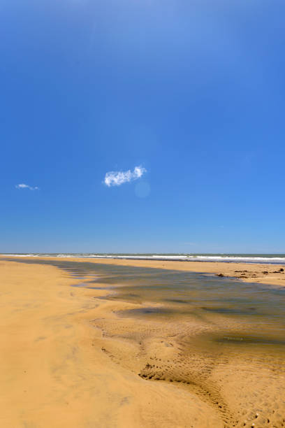 istock Costinha Beach in Brejo Grande, Sergipe 1475042412