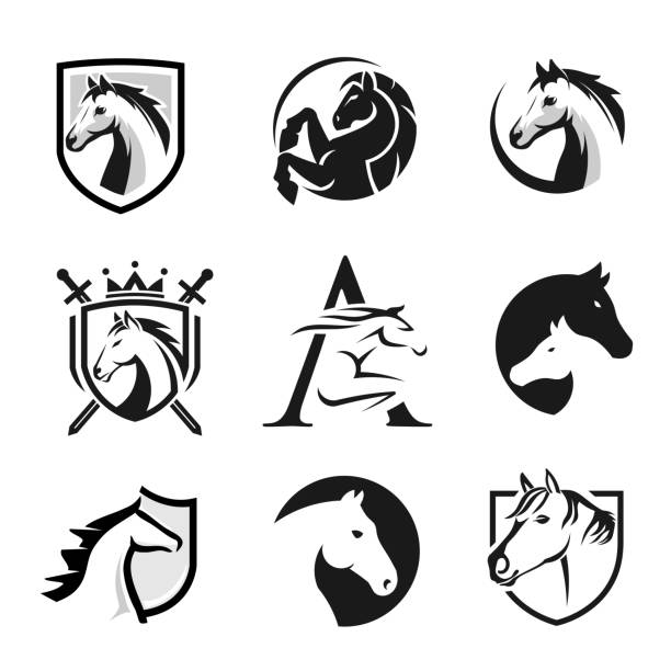 collection of horse head sport symbol Simple sign horse head sport symbol vector collection pony stock illustrations