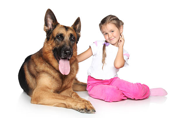 istock Beautiful girl and German shepherd dog 147504263
