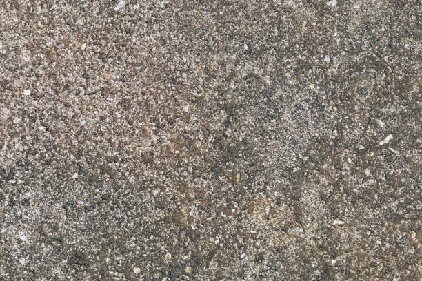 Gray textured cement wall background with fine concrete chips. Construction backgrounds