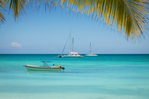 Caribbean tropical beach in Saona island, Punta Cana at sunny day, Dominican Republic