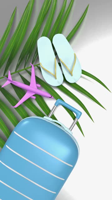 Vertical Airplane with Luggage Slipper and Palm Leaves on White Background in 4K Resolution