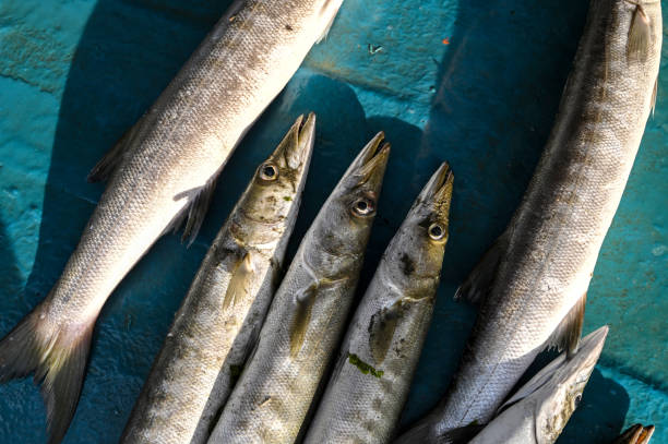 istock Fresh Fish in the Market 1475045171