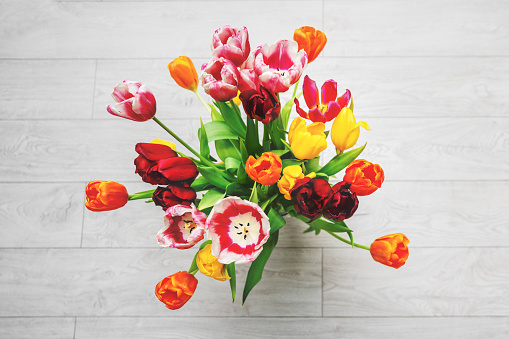 Beautiful multicolored tulips flowers bouquet on wooden surface low angle overhead view.