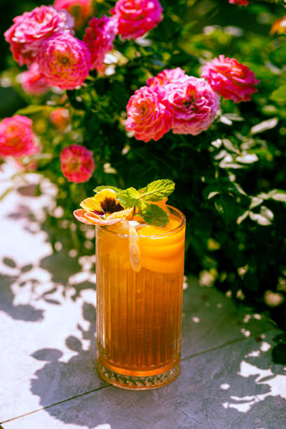 Peach Ice Tea Drinking Glass Cup High Resolution Stock Photo Peach Ice Tea Drinking Glass Cup High Resolution Stock Photo
Trà đào cam sả
Tra dao cam sa peach color table stock pictures, royalty-free photos & images