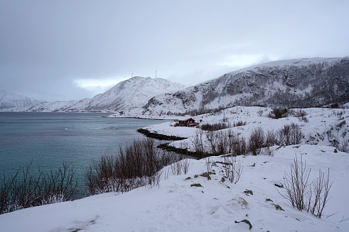 snowy nature view and coastline in town of tromso, norway