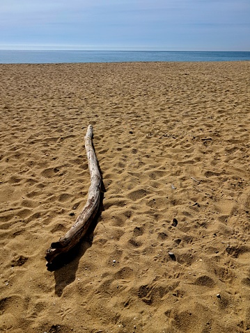 Trunk sand beach