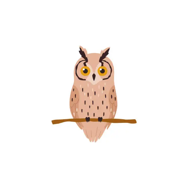 Vector illustration of Long-eared owl or screech-owl on branch, flat vector illustration isolated.