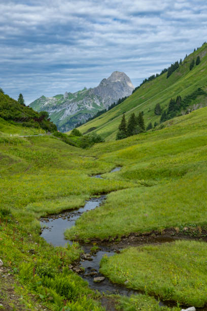 paesaggi vicino a kalbelesee, hochtann mountain pass, warth, vorarlberg, austria - kalbelesee foto e immagini stock