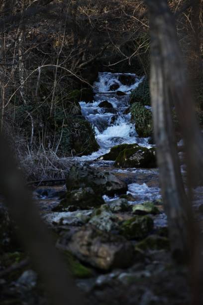 A view of the waterfall through the trees