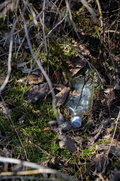 istock photo glass bottle in the forest 1475057766