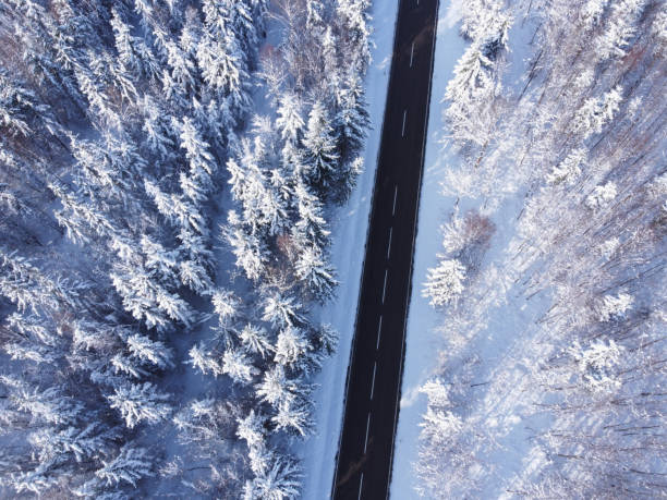 istock Winter landscape, Forest, Winter road and trees covered with snow, Germany, 1475059051