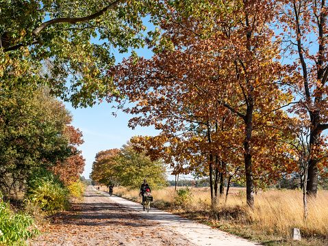 Manhattan, New York, USA - November 10, 2020: Young asian man wearing surgical mask, due to the coronavirus, riding a citibike bicycle in Central park on a beautiful autumn day in New York City.  Citibike is a paid ride share bicycle in NYC.