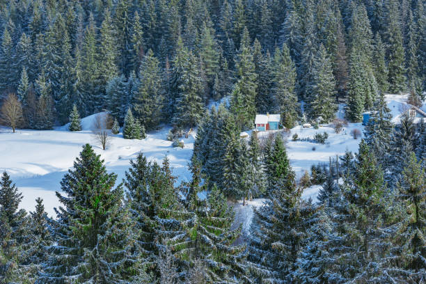 Private houses in the mountain spruce trees forest at winter day.