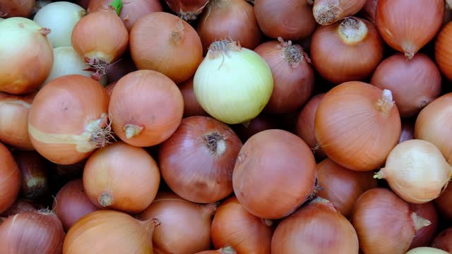 Onions on the Market Stall