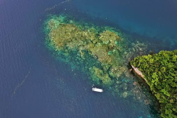 istock Rock island paradise in Palau 1475062047